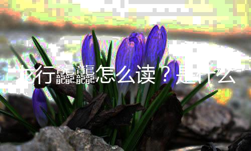 宣么意怎么龘龘读台春年总晚官龙行是什思